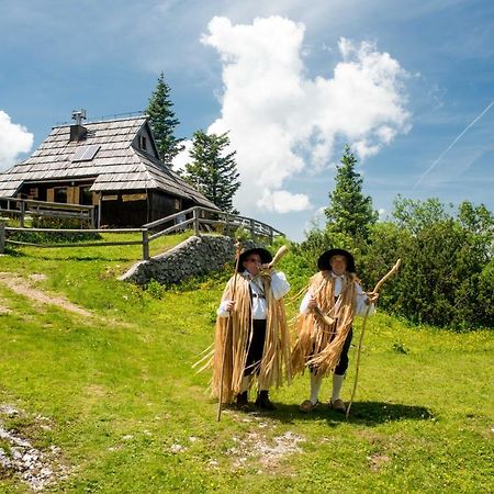 Chalet Tisa Velika Planina Stahovica Exteriér fotografie