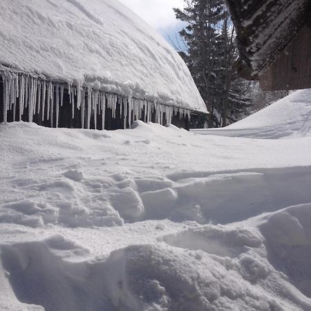 Chalet Tisa Velika Planina Stahovica Exteriér fotografie