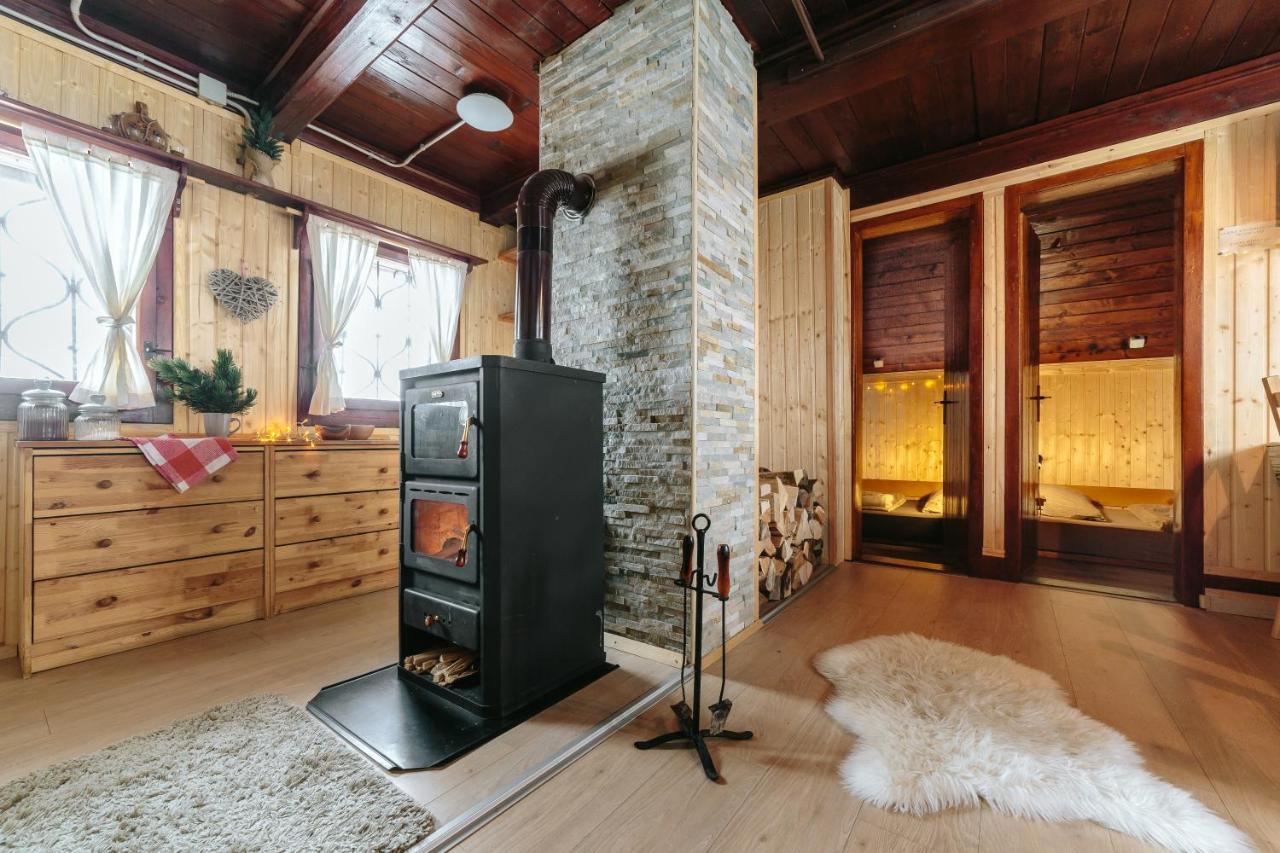 Chalet Tisa Velika Planina Stahovica Exteriér fotografie
