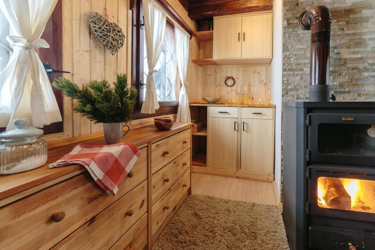 Chalet Tisa Velika Planina Stahovica Exteriér fotografie