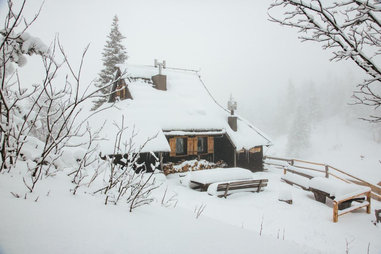 Chalet Tisa Velika Planina Stahovica Exteriér fotografie