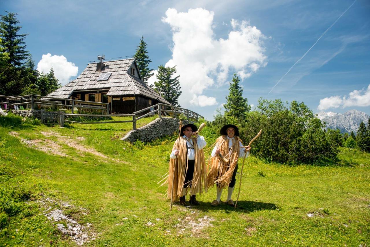 Chalet Tisa Velika Planina Stahovica Exteriér fotografie