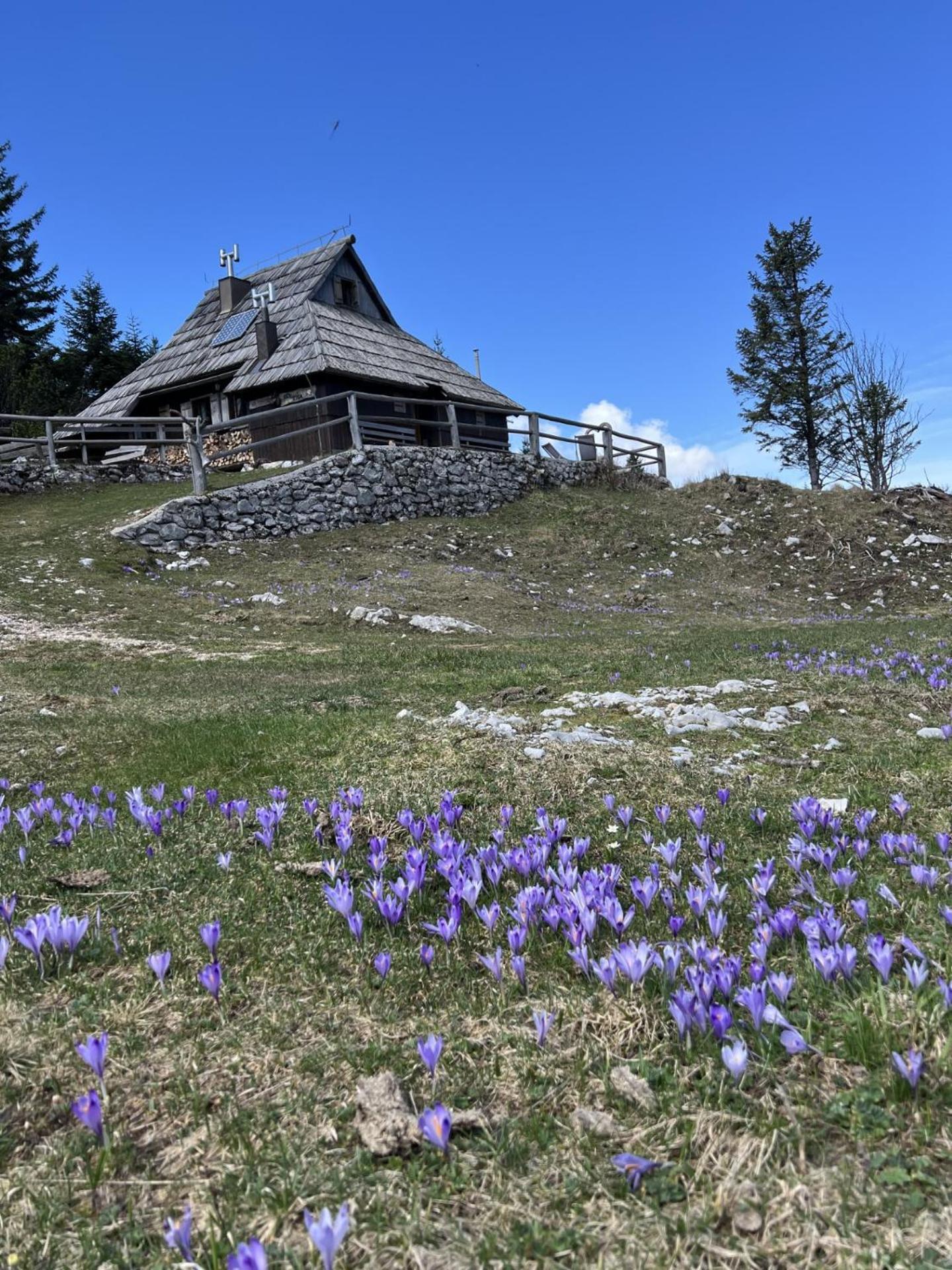 Chalet Tisa Velika Planina Stahovica Exteriér fotografie