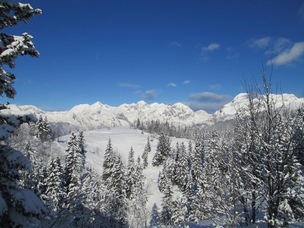 Chalet Tisa Velika Planina Stahovica Pokoj fotografie
