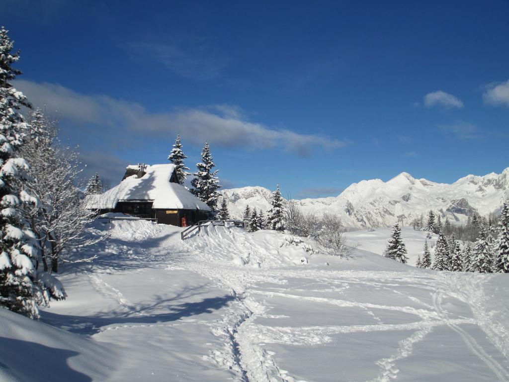 Chalet Tisa Velika Planina Stahovica Pokoj fotografie