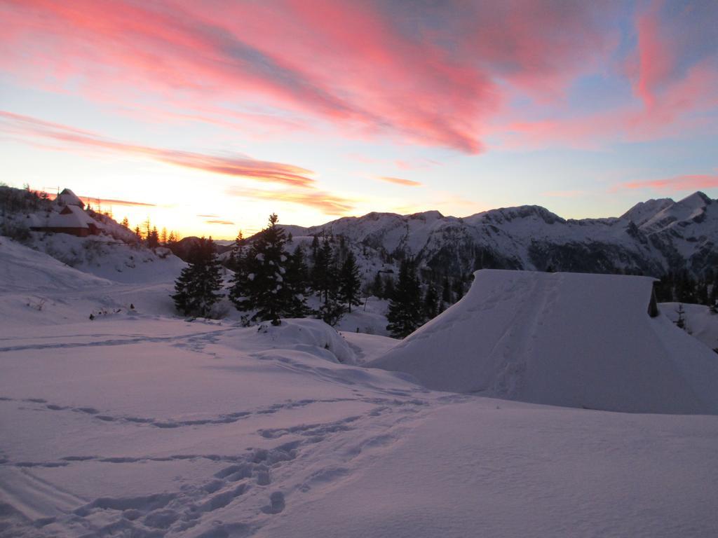 Chalet Tisa Velika Planina Stahovica Pokoj fotografie