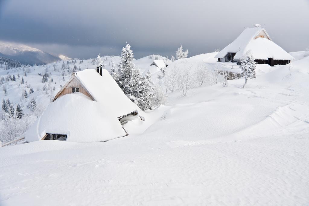 Chalet Tisa Velika Planina Stahovica Pokoj fotografie