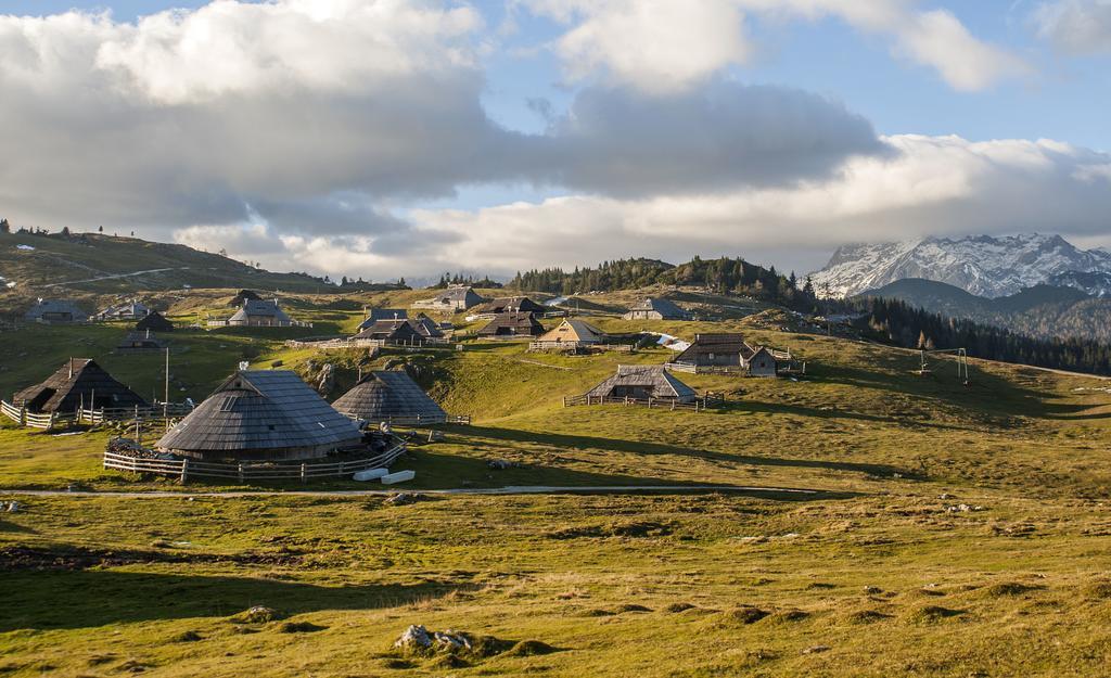 Chalet Tisa Velika Planina Stahovica Pokoj fotografie