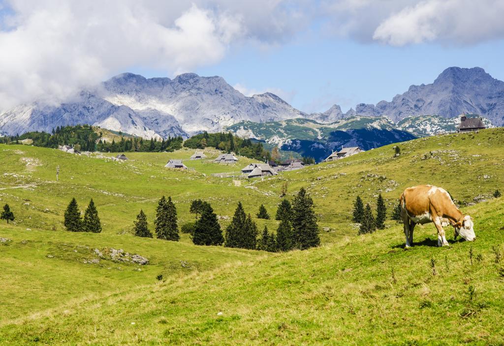 Chalet Tisa Velika Planina Stahovica Pokoj fotografie