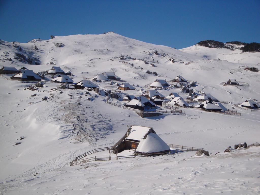 Chalet Tisa Velika Planina Stahovica Pokoj fotografie