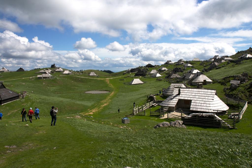 Chalet Tisa Velika Planina Stahovica Pokoj fotografie