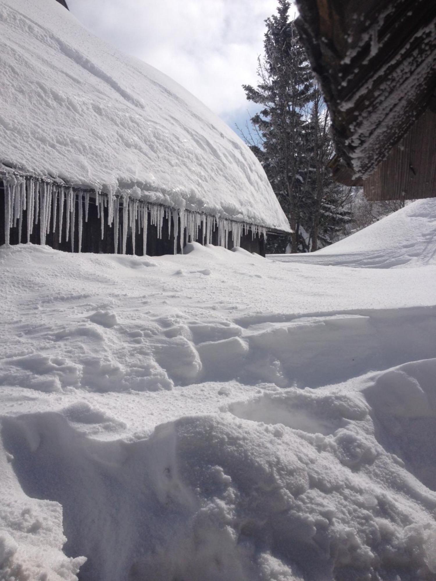 Chalet Tisa Velika Planina Stahovica Exteriér fotografie