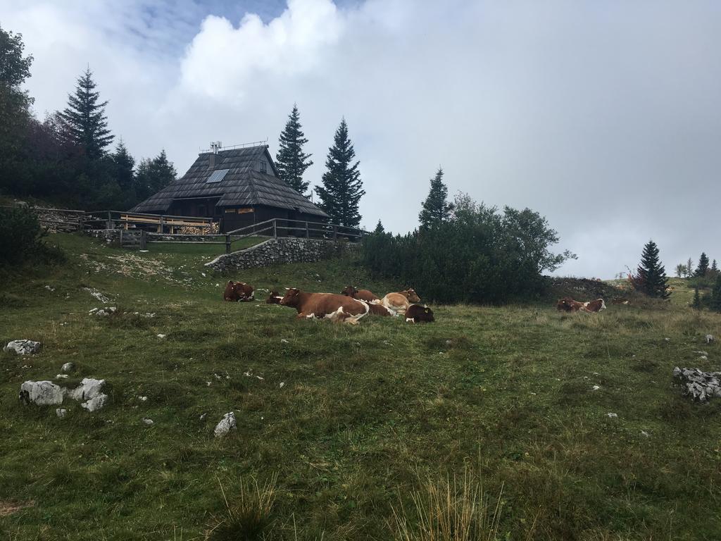 Chalet Tisa Velika Planina Stahovica Exteriér fotografie