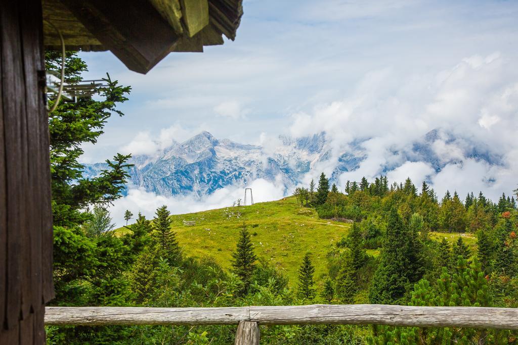 Chalet Tisa Velika Planina Stahovica Exteriér fotografie