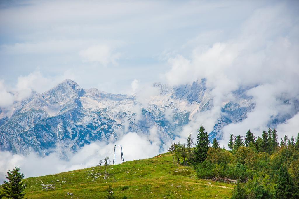 Chalet Tisa Velika Planina Stahovica Exteriér fotografie