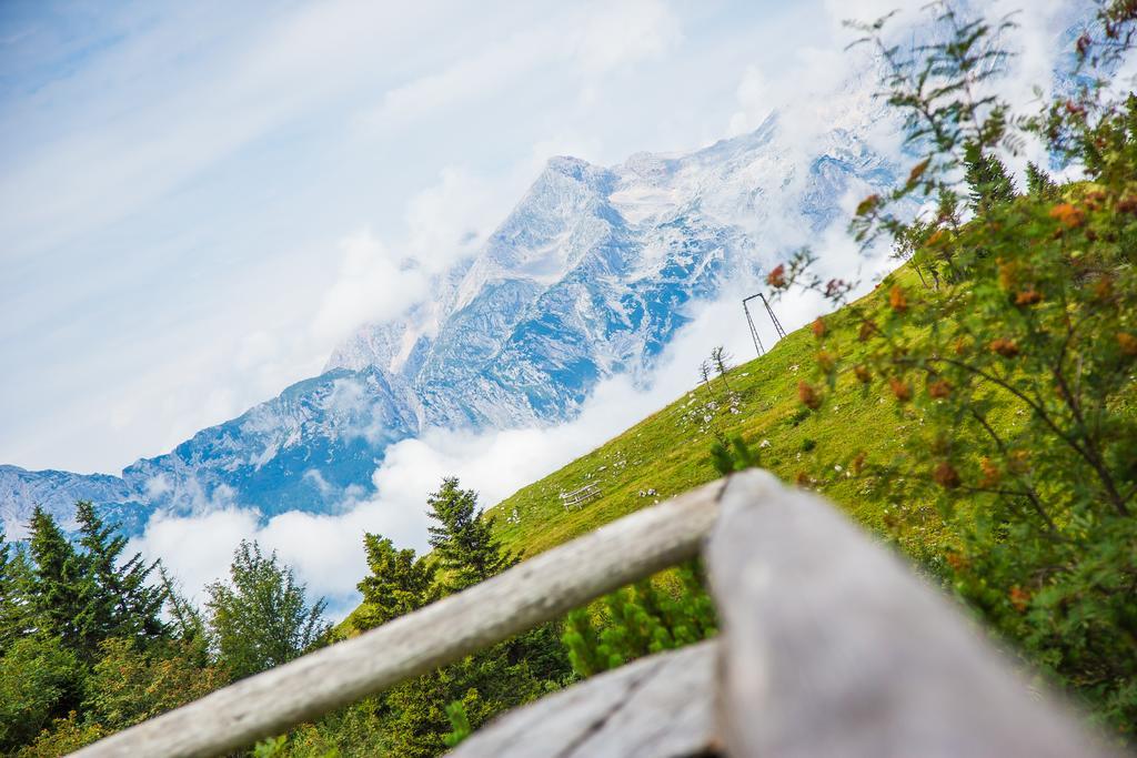 Chalet Tisa Velika Planina Stahovica Exteriér fotografie