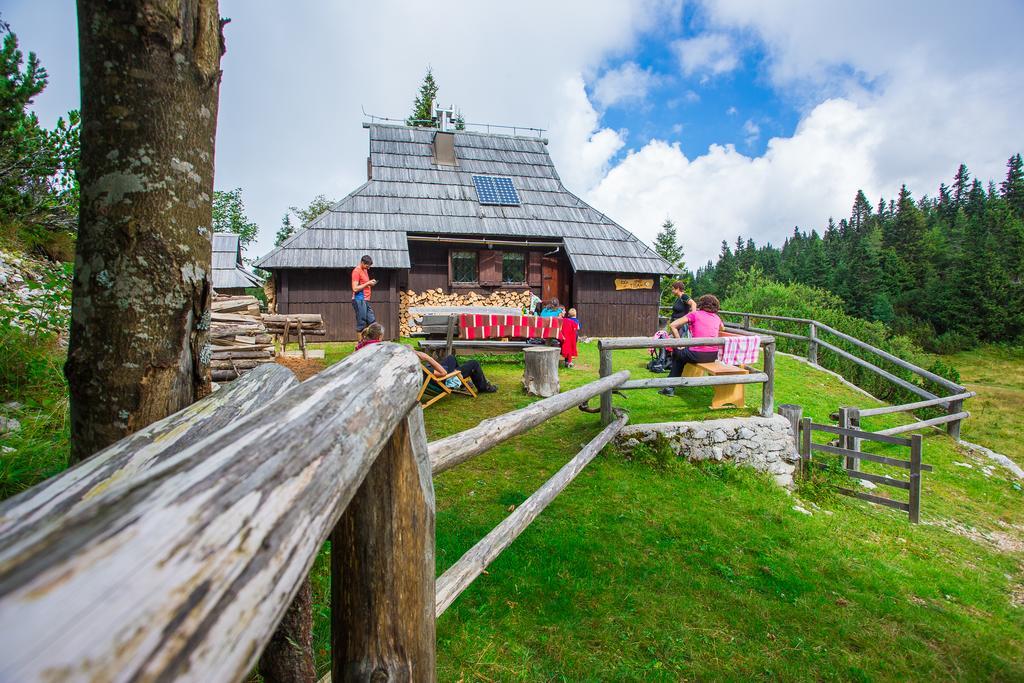 Chalet Tisa Velika Planina Stahovica Exteriér fotografie