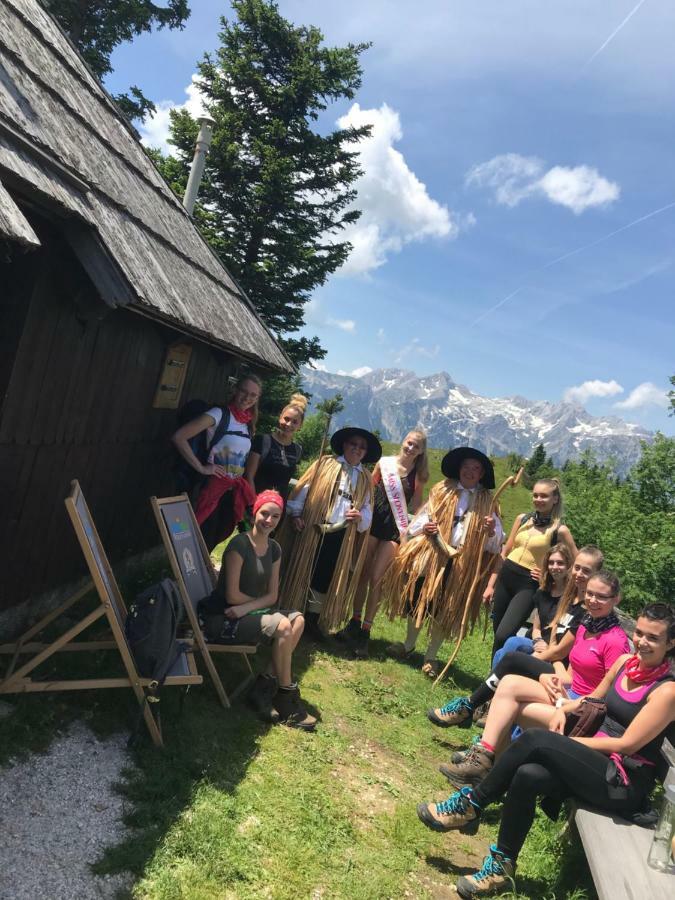 Chalet Tisa Velika Planina Stahovica Exteriér fotografie