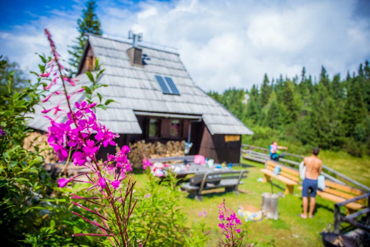 Chalet Tisa Velika Planina Stahovica Exteriér fotografie